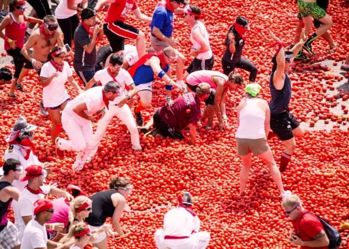 Du lịch Tây Ban Nha - Lễ hội cà chua Tomatina được coi là một sự kiện văn hóa ở Tây Ban Nha