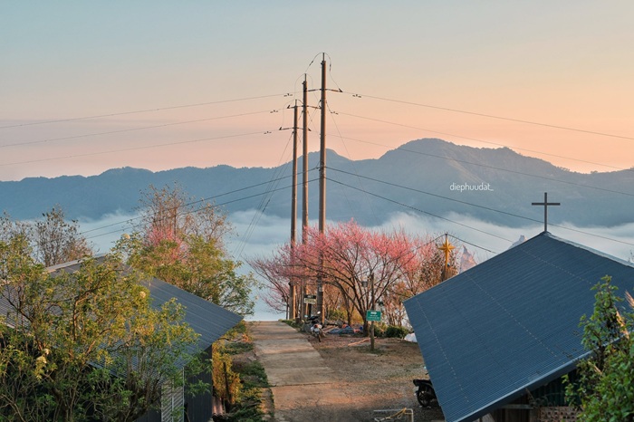 Một góc nhỏ yên tĩnh của Tà Xùa, nơi thiên nhiên và con người dường như chậm lại giữa mùa xuân. Ảnh: Diệp Hữu Đạt