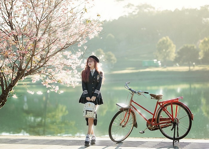 Lịch trình 3 ngày du lịch Đà Lạt dịp Tết cho chuyến đi đầu năm