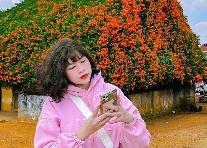 Ngôi nhà hoa xác pháo Lâm Đồng có gì mà giới trẻ đua nhau check in