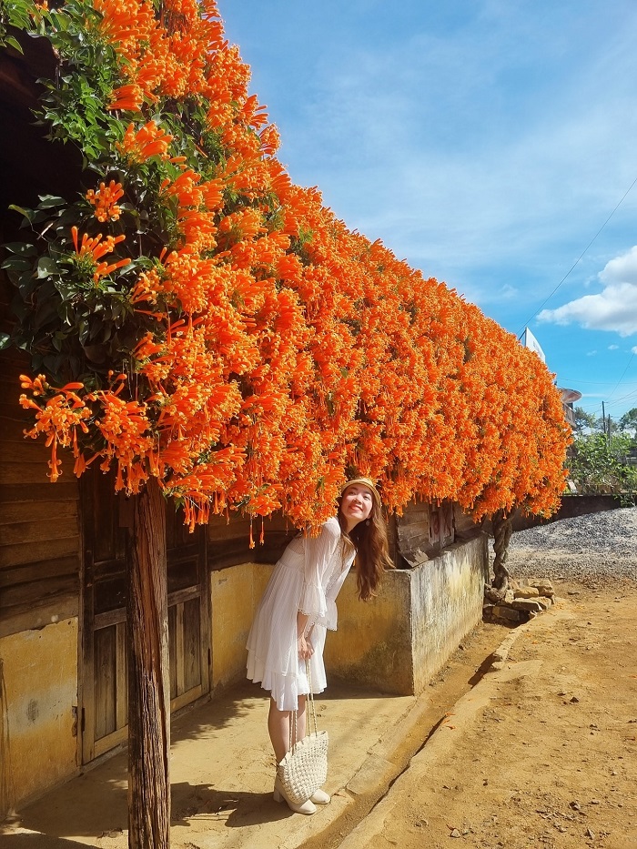 Bạn có thể di chuyển tới ngôi nhà hoa xác pháo Lâm Đồng bằng nhiều phương tiện