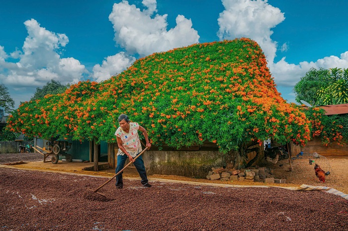 Còn chần chờ gì nữa mà không rủ bạn bè tới ngôi nhà hoa xác pháo Lâm Đồng thôi nào