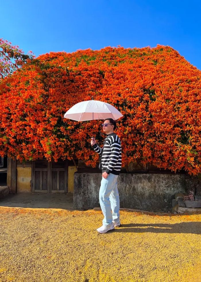 Ngôi nhà hoa xác pháo Lâm Đồng đẹp như trong phim