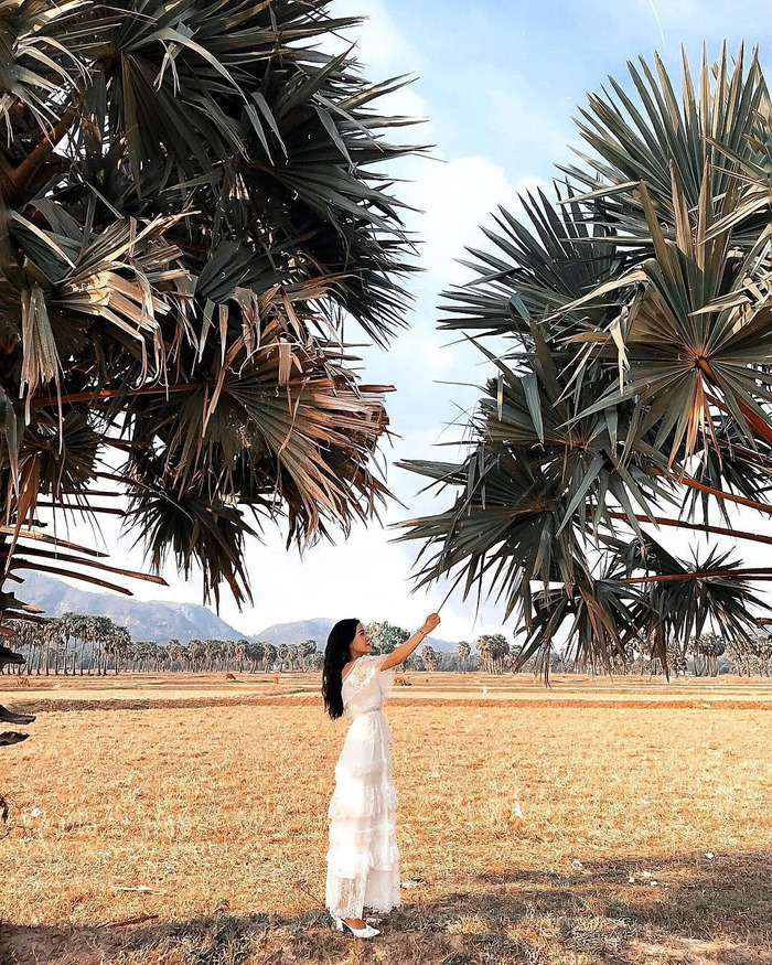 Check-in “cháy máy” tại Cổng Trời Tri Tôn An Giang