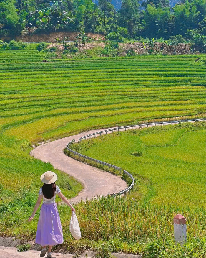 Du lịch Thanh Hóa có gì? Khu bảo tồn thiên nhiên Pù Luông