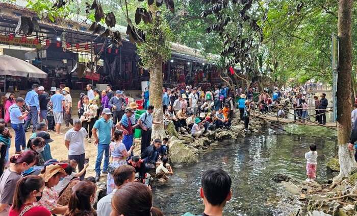 Du lịch Thanh Hóa có gì? Suối cá thần Cẩm Lương