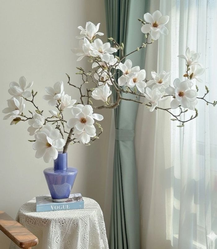 Ý nghĩa phong thủy khi chọn hoa Mộc Lan chơi Tết