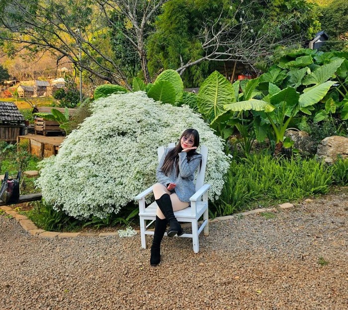 Mu Náu Farm Mộc Châu với nhiều góc check in đẹp