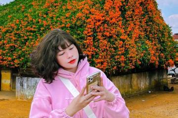 Ngôi nhà hoa xác pháo Lâm Đồng có gì mà giới trẻ đua nhau check in
