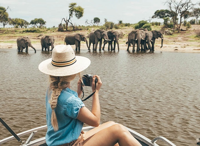  Đi Safari ở Botswana