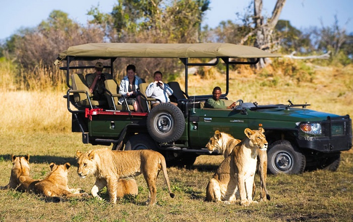Đi safari ở Botswana 