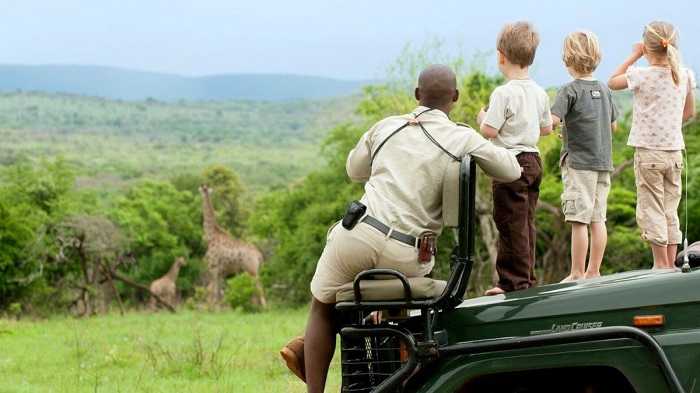  Đi safari ở Botswana