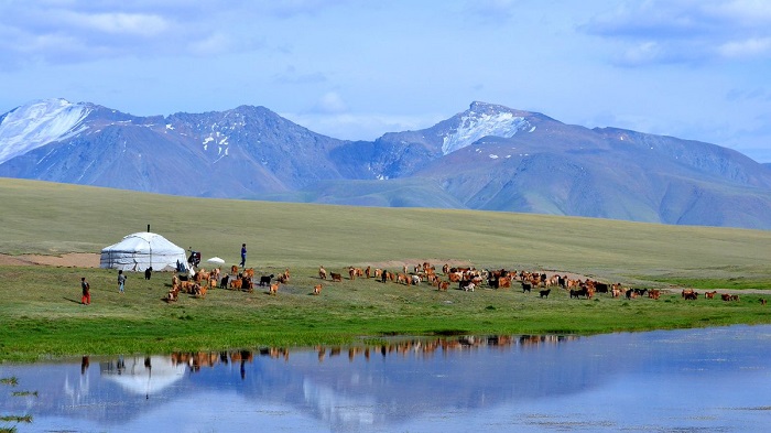Ở những khu vực xa trung tâm, người dân sẽ dùng tiền mặt và giao tiếp bằng tiếng Mông Cổ. 