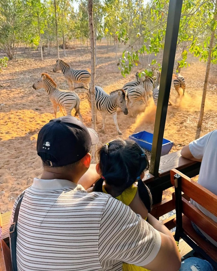 Kinh nghiệm du lịch Mũi Né từ Hà Nội ghé thăm thế giới hoang dã khi tới Mũi Né