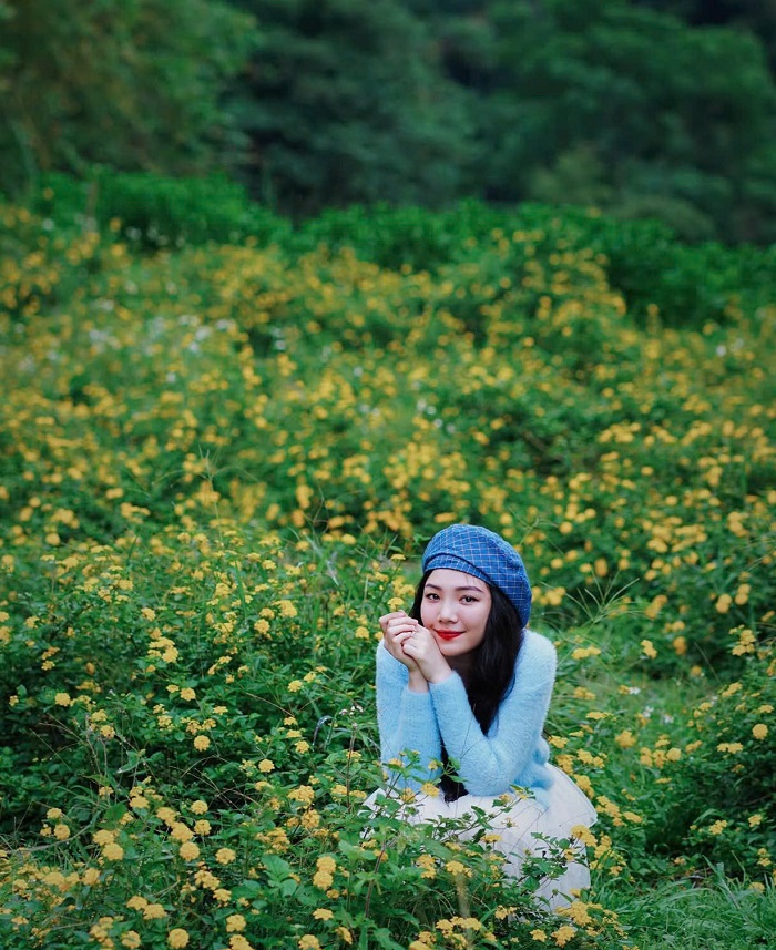 Lịch trình du lịch Măng Đen dịp Tết có rất nhiều loài hoa đua nở