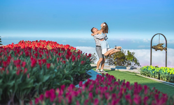 Tết nên đi du lịch ở đâu miền Trung - Bà Nà Hills có lễ hội hoa tulip đầu năm mới