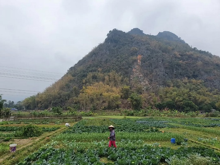Bản Poom Cọong Mai Châu ở đâu?