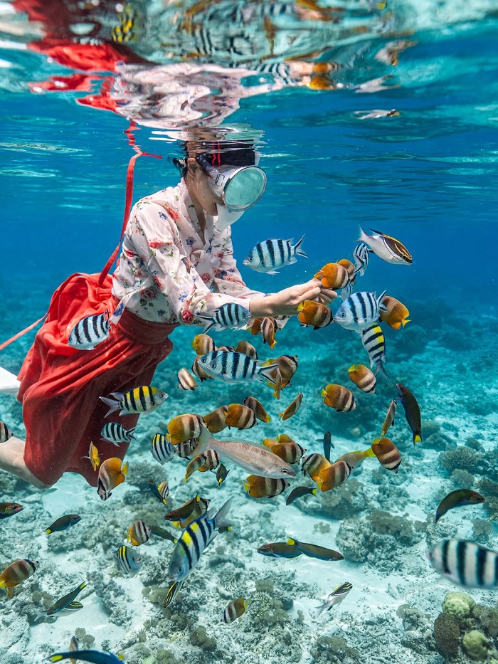 Đảo Sipadan Malaysia ở đâu?