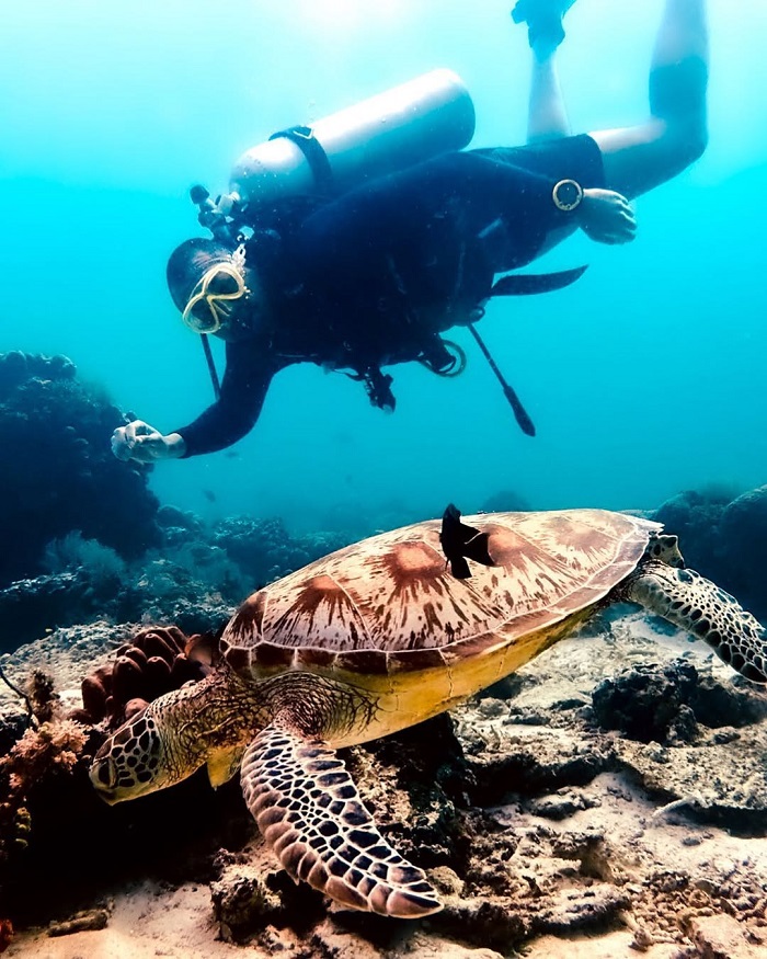 Đảo Sipadan Malaysia thu hút các nhà lặn biển