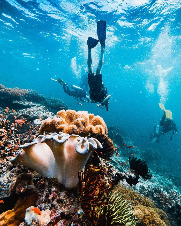 Đảo Sipadan Malaysia với hệ sinh thái biển đa dạng