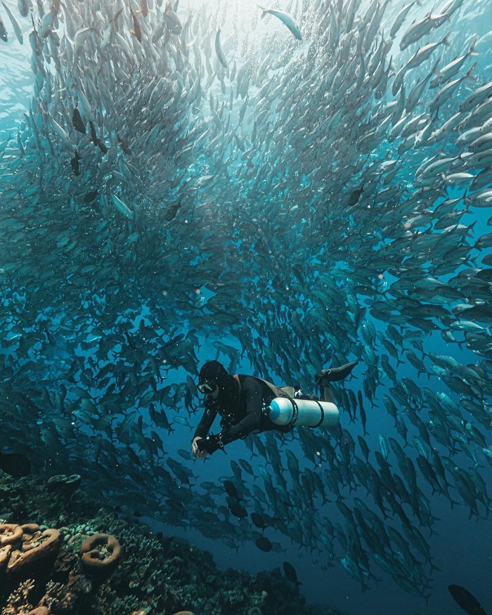 Đảo Sipadan Malaysia vô cùng đẹp và quyến rũ