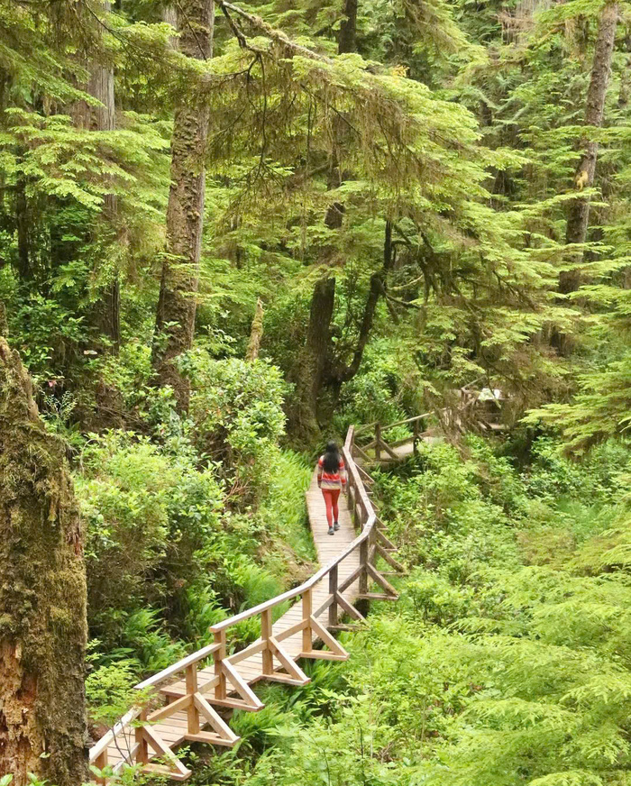 Các địa điểm trekking nổi tiếng ở Canada - Vườn quốc gia Pacific Rim