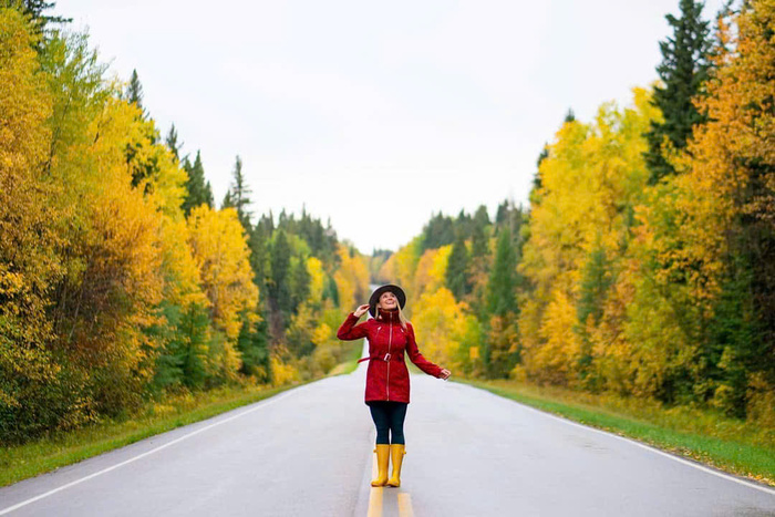 Các địa điểm trekking nổi tiếng ở Canada - Vườn quốc gia Hoàng tử Albert