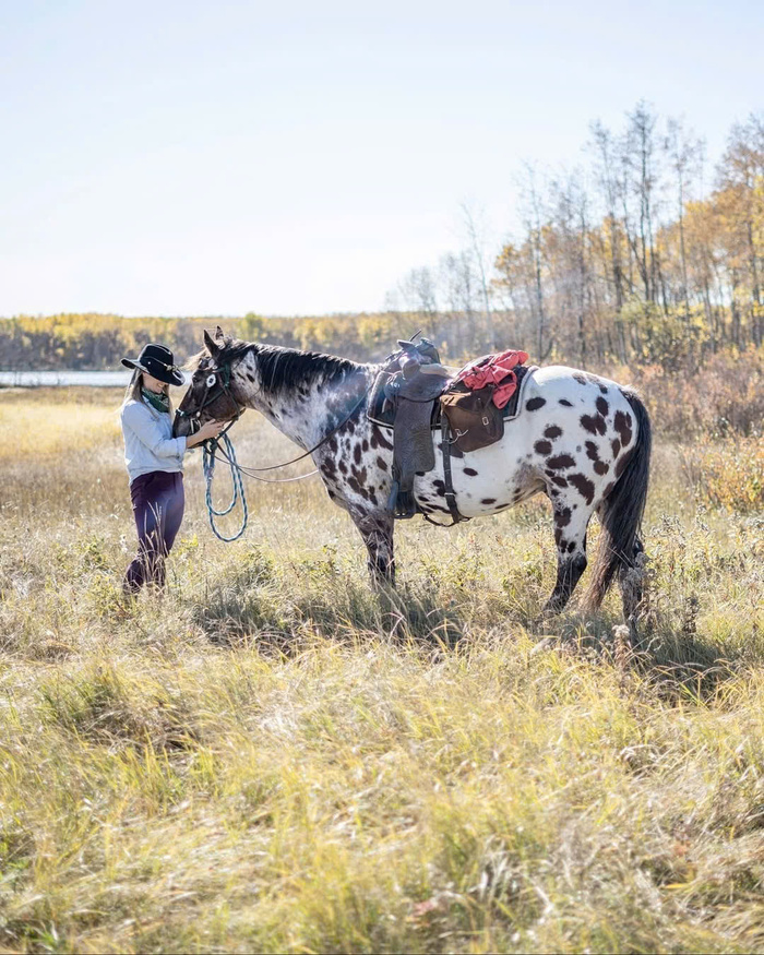 Các địa điểm trekking nổi tiếng ở Canada - Vườn quốc gia Hoàng tử Albert