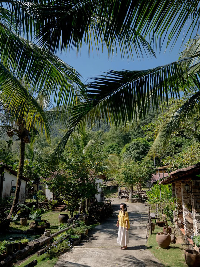 The May Homestay (May Garden Stay & Cafe)