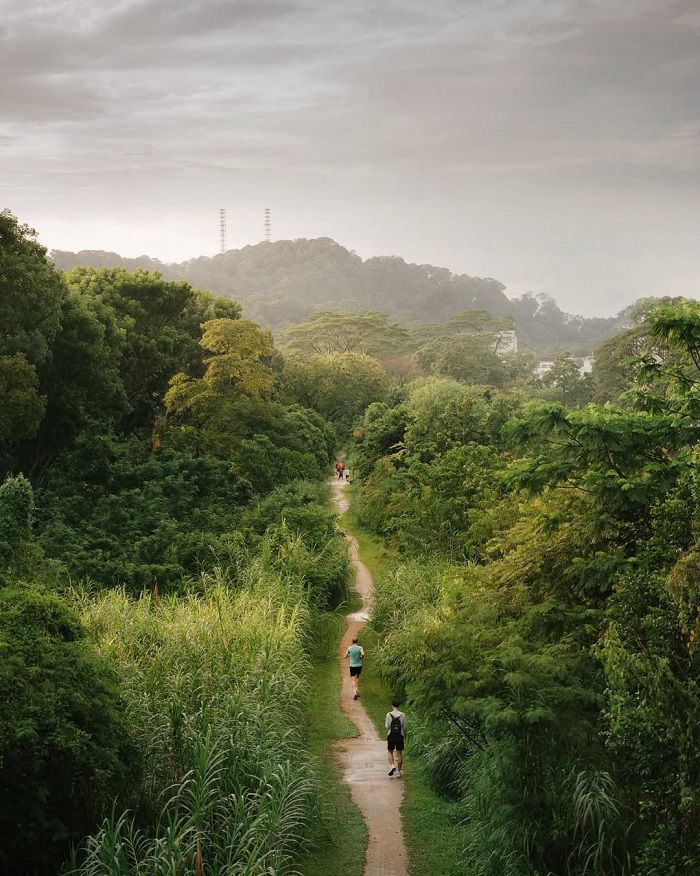 Khu bảo tồn thiên nhiên Bukit Timah ở đâu?