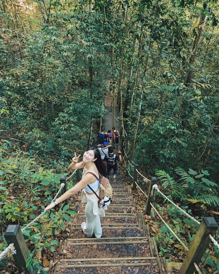 Khu bảo tồn thiên nhiên Bukit Timah mang đến trải nghiệm khó quên cho du khách