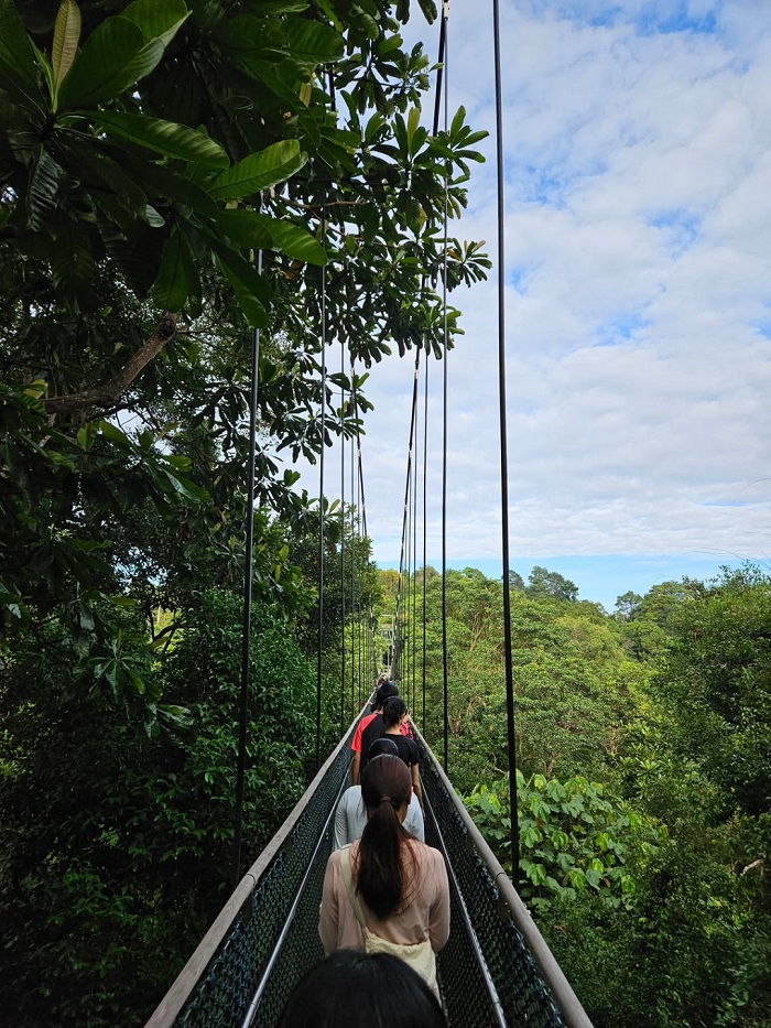 Lưu ý khi khám phá Khu bảo tồn thiên nhiên Bukit Timah