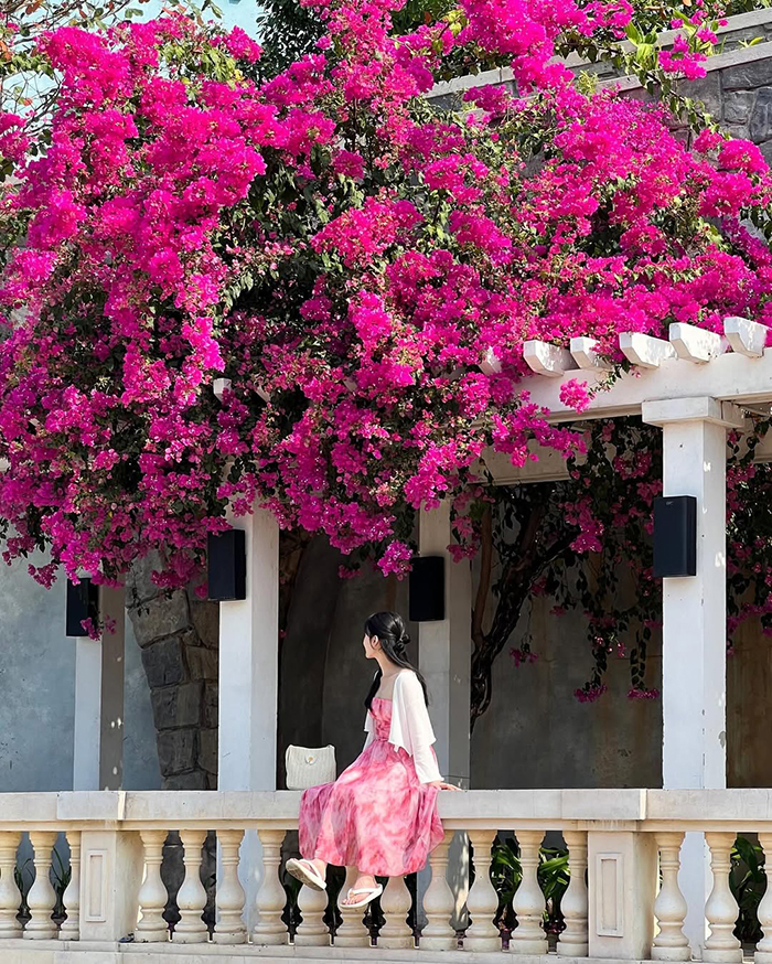 Di chuyển đến và trong với kinh nghiệm du lịch Nam Đảo Phú Quốc