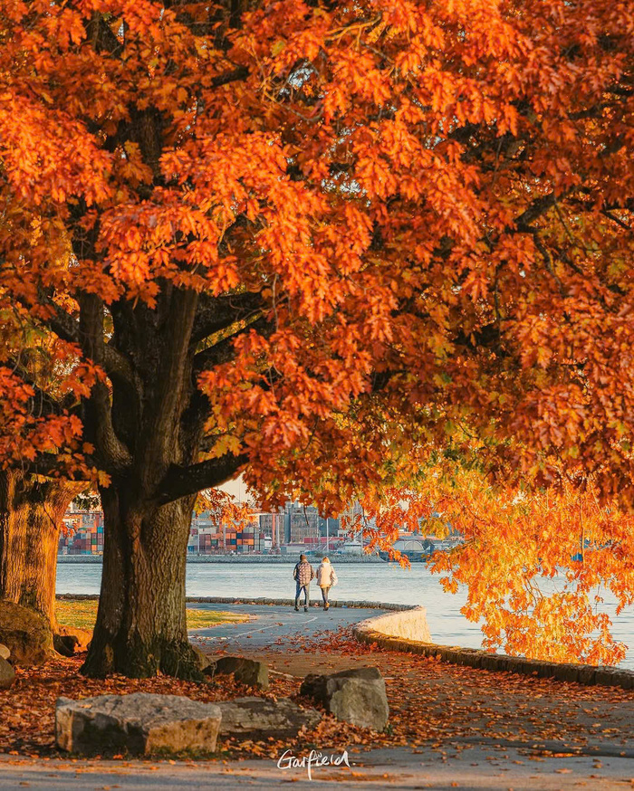 Kinh nghiệm du lịch Vancouver Canada - mùa xuân và mùa thu là hai thời điểm du lịch lý tưởng