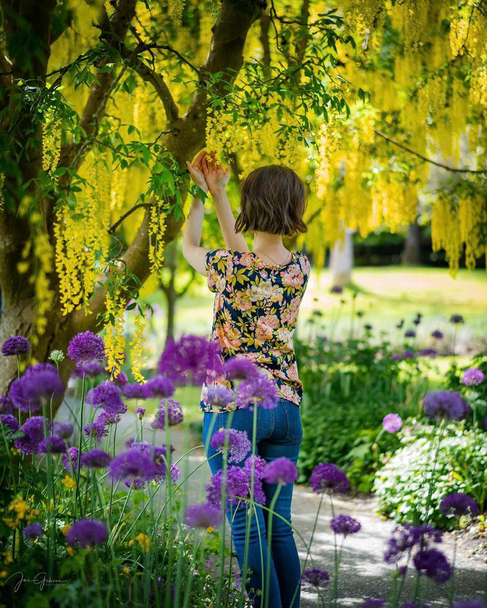 Kinh nghiệm du lịch Vancouver Canada - Khám phá các địa điểm du lịch Vancouver nổi tiếng