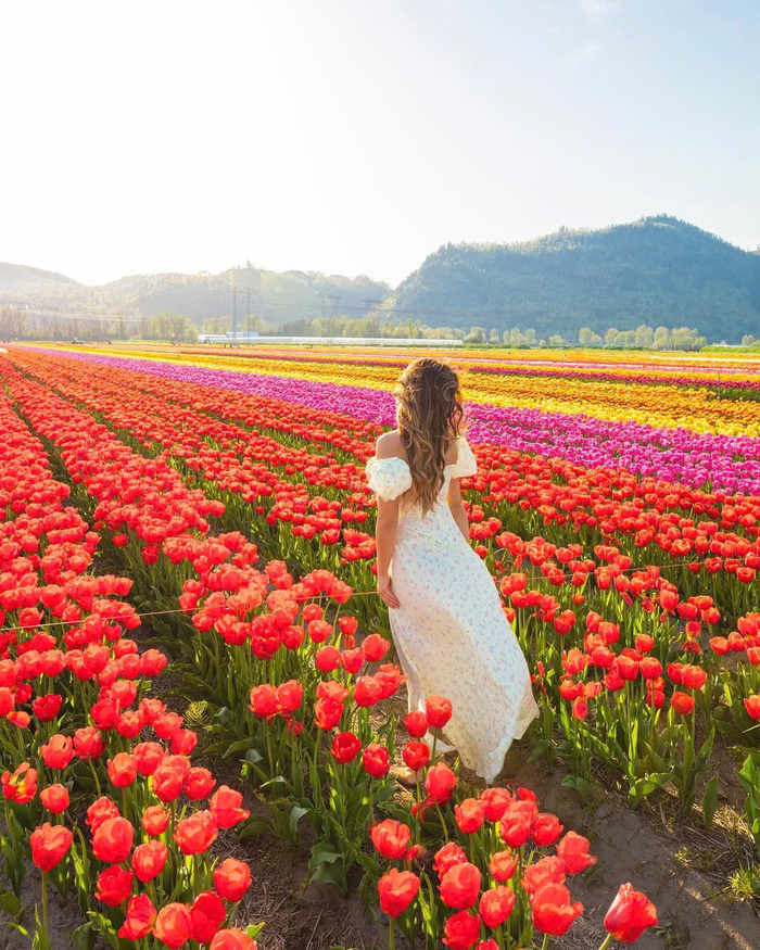 Kinh nghiệm du lịch Vancouver Canada - mùa xuân và mùa thu là hai thời điểm du lịch lý tưởng