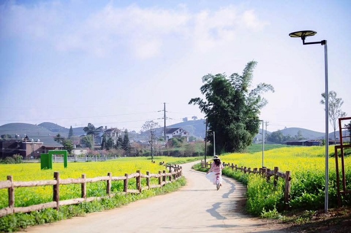 Lỏi Tươi Farm Mộc Châu là điểm đến mà bạn nên dừng chân