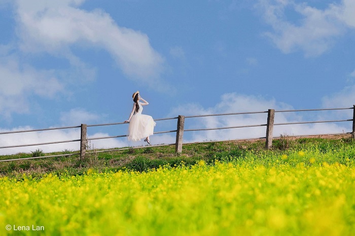 Lỏi Tươi Farm Mộc Châu đẹp như thế giới cổ tích