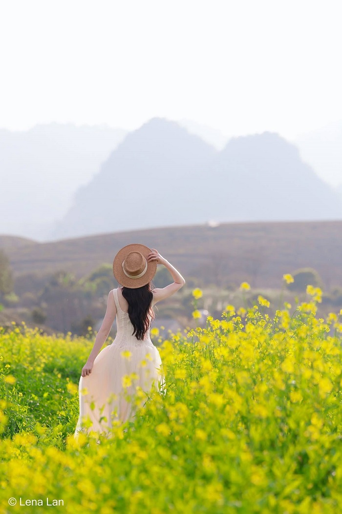 Lỏi Tươi Farm Mộc Châu góc nào cũng ấn tượng