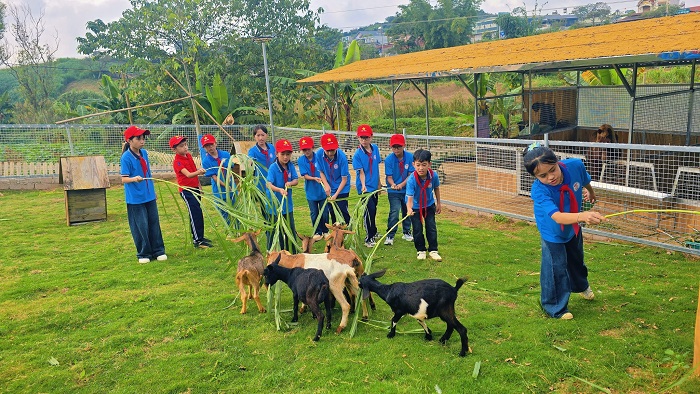 Lỏi Tươi Farm Mộc Châu còn có khu thú nuôi dành cho các bé 