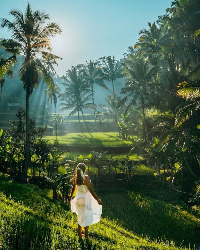 Ruộng bậc thang Tegalalang Indonesia đứng vào là có ảnh đẹp