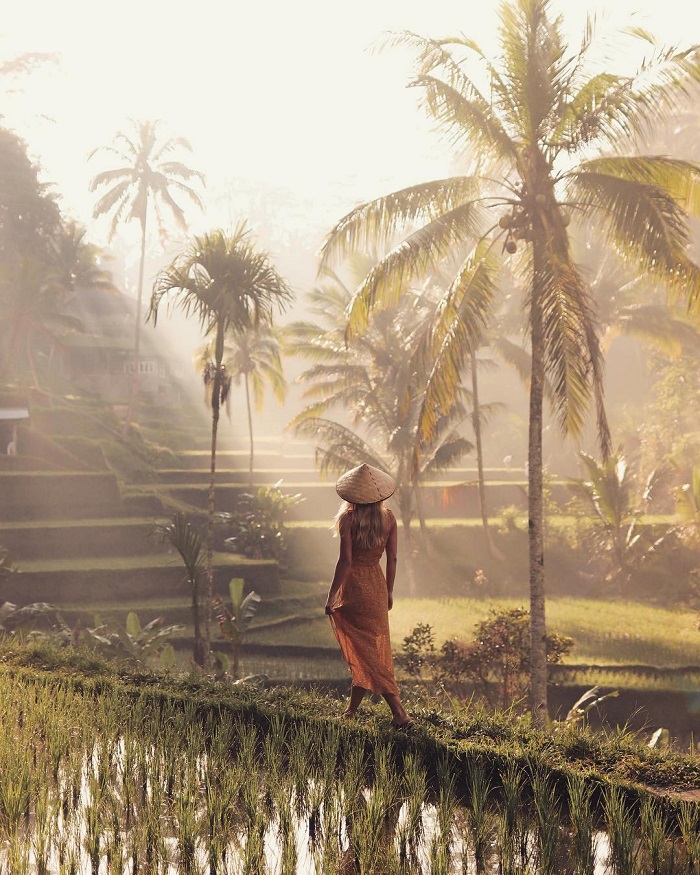 Ruộng bậc thang Tegalalang Indonesia vào một sáng tinh mơ
