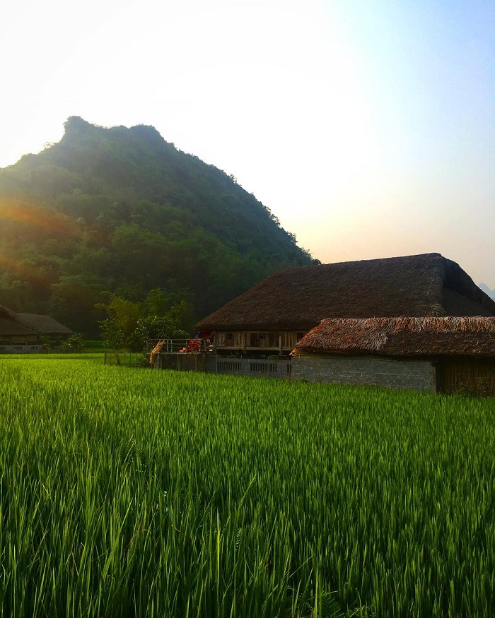 Thôn Tha Hà Giang thực sự là điểm đến rất chữa lành