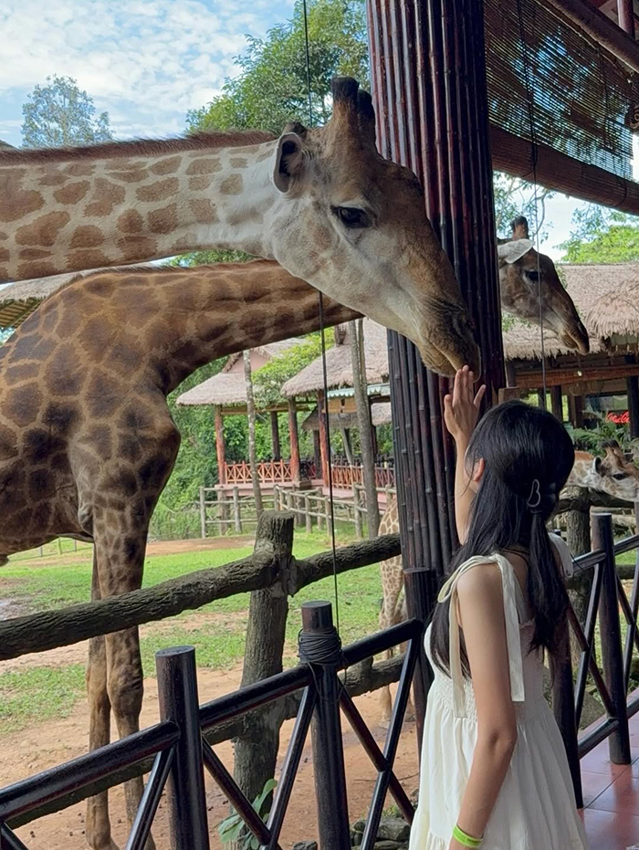 Kinh nghiệm thuê xe du lịch Phú Quốc an toàn và tiết kiệm