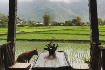 Bản Pom Cọong Mai Châu - Bản người Thái nép mình giữa núi rừng