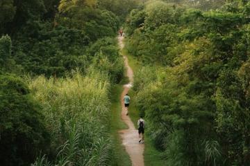 Khám phá khu bảo tồn thiên nhiên Bukit Timah Singapore