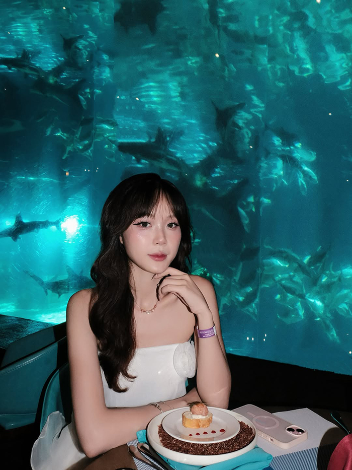 Show trình diễn & hoạt động tại Thủy cung Vinpearl Land Phú Quốc