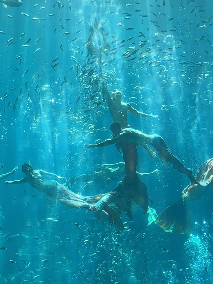 Lịch trình các show diễn không thể bỏ lỡ tại thủy cung vinpearl land phú quốc