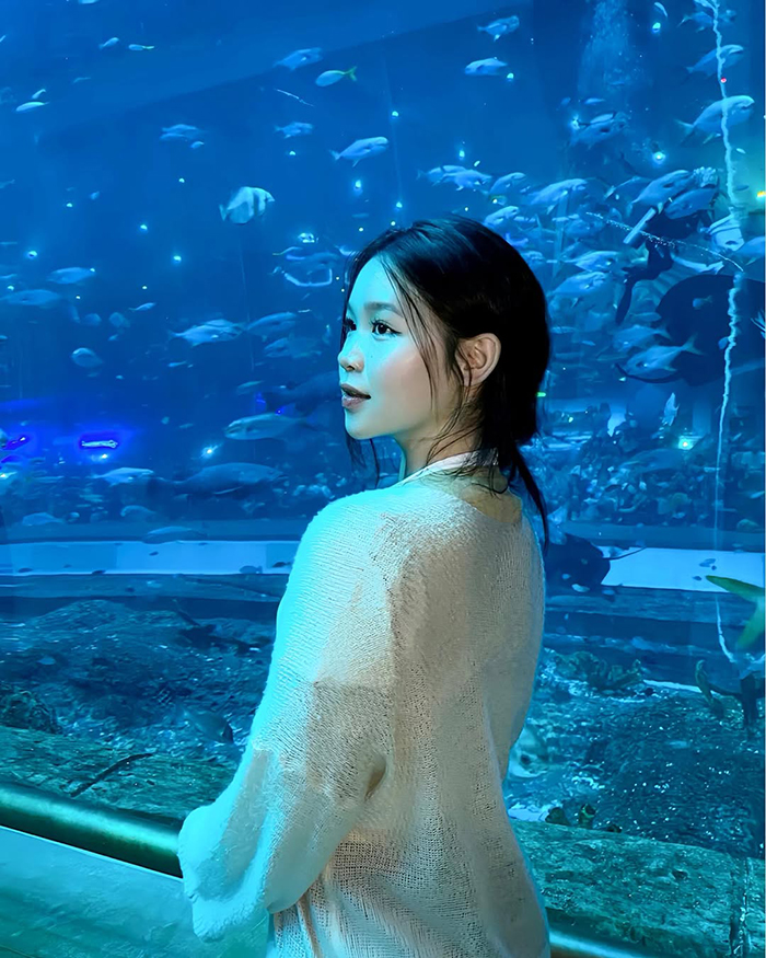 Bảng giá Thủy cung Vinpearl Land Phú Quốc