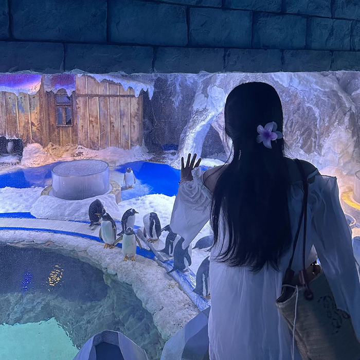  Chụp ảnh cùng Mascot/Chim cánh cụt tại Thủy Cung Vinperl Land Phú Quốc